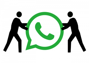 Download GBWhatsApp Apk1